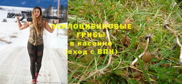 таблы Новокубанск