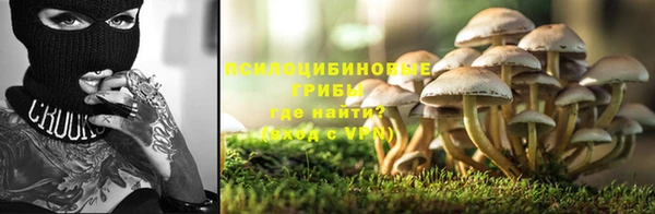 мдпв Новозыбков