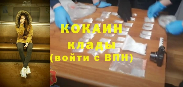 мдпв Новозыбков