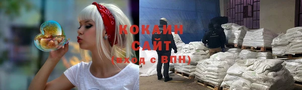 мдпв Новозыбков