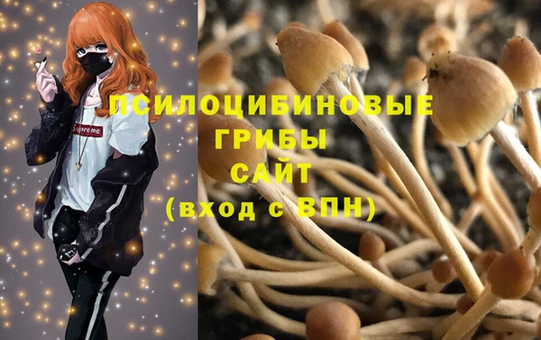 мдпв Новозыбков