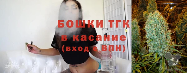 первитин Новодвинск