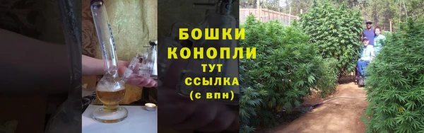 первитин Новодвинск