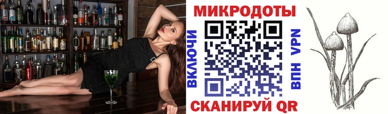 закладки  Удачный  Галлюциногенные грибы Cubensis 